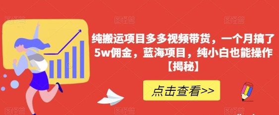 图片[1]-2023纯搬运项目多多视频带货，一个月搞了5w佣金，蓝海项目，纯小白也能操作【揭秘】-天天学吧