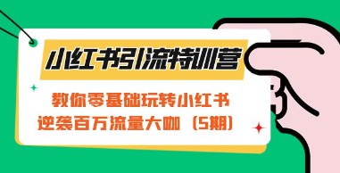 小红书引流特训营-第5期：零基础也能玩转小红书，轻松逆袭成为百万流量大咖！-天天学吧