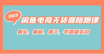 闲鱼电商无货源陪跑课程，零基础实战，全新最全干货教程！-天天学吧