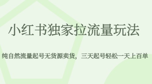 小红书最新独家拉流量玩法，零成本起号无货源卖货，三天轻松实现上百单！-天天学吧