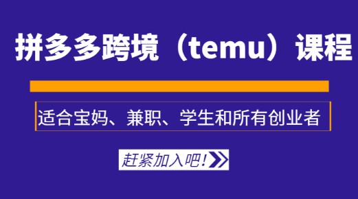 拼多多跨境（temu）课程：适合宝妈、兼职、学生和所有创业者（跨境电商技巧）-天天学吧